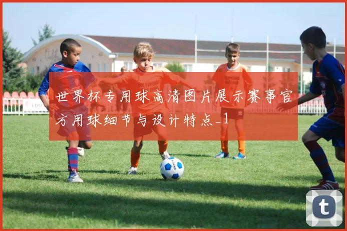 世界杯专用球高清图片展示赛事官方用球细节与设计特点_1