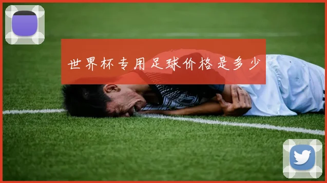 世界杯专用足球价格是多少